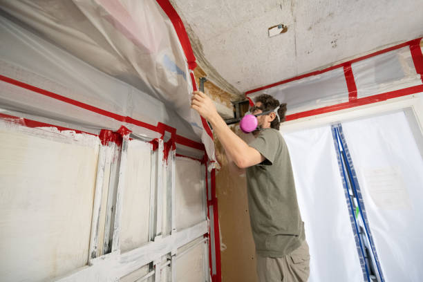 Gainesboro, TN Mold Removal Company